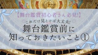 【舞台鑑賞初心者さん必見①】これだけ見ておけば大丈夫!舞台鑑賞前に知っておきたいこと