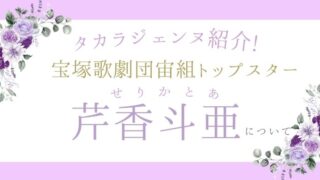 【タカラジェンヌ紹介】宝塚歌劇団宙組トップスター芹香斗亜さんについて